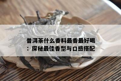 普洱茶什么香料最香更好喝：探秘更佳香型与口感搭配