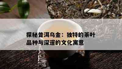 探秘普洱乌金：独特的茶叶品种与深邃的文化寓意