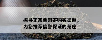 探寻正宗普洱茶购买渠道，为您推荐信誉保证的茶庄