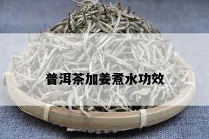 普洱茶加姜煮水功效