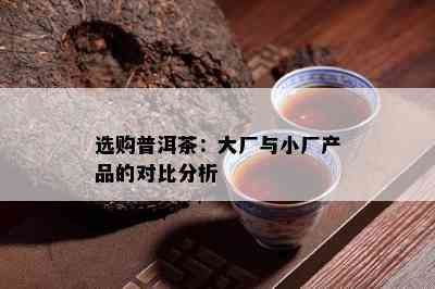 选购普洱茶：大厂与小厂产品的对比分析