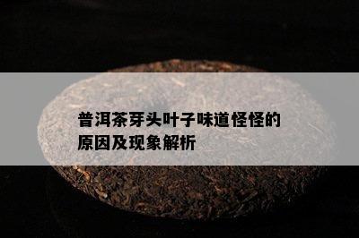 普洱茶芽头叶子味道怪怪的原因及现象解析