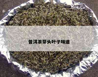 普洱茶芽头叶子味道