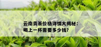 云南贡茶价格详情大揭秘：喝上一杯需要多少钱？