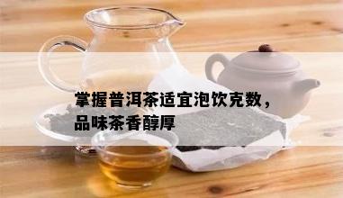 掌握普洱茶适宜泡饮克数，品味茶香醇厚