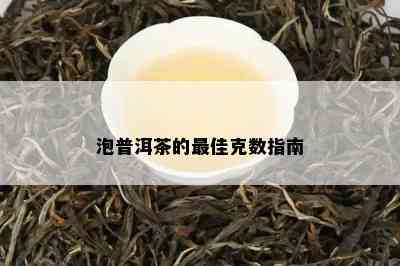 泡普洱茶的更佳克数指南