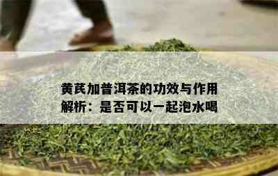 黄芪加普洱茶的功效与作用解析：是否可以一起泡水喝