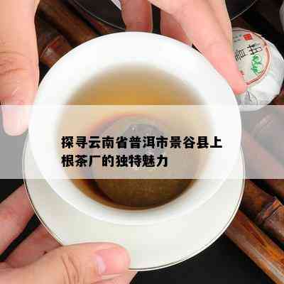 探寻云南省普洱市景谷县上根茶厂的独特魅力