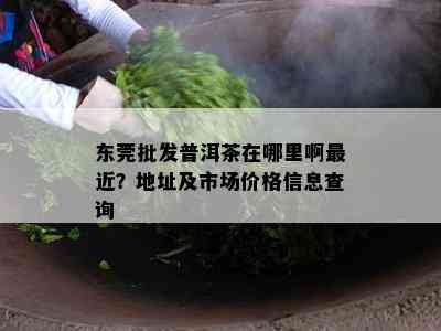 东莞批发普洱茶在哪里啊最近？地址及市场价格信息查询