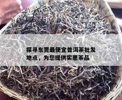 探寻东莞更便宜普洱茶批发地点，为您提供实惠茶品