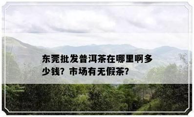 东莞批发普洱茶在哪里啊多少钱？市场有无假茶？