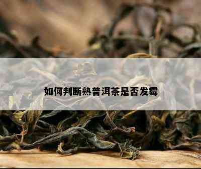 如何判断熟普洱茶是否发霉