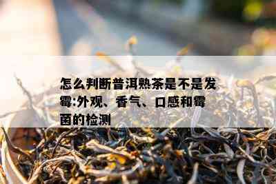 怎么判断普洱熟茶是不是发霉:外观、香气、口感和霉菌的检测