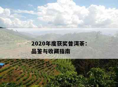 2020年度获奖普洱茶：品鉴与收藏指南