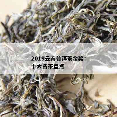 2019云南普洱茶金奖：十大名茶盘点