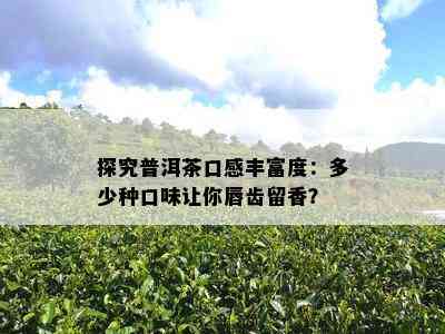 探究普洱茶口感丰富度：多少种口味让你唇齿留香？