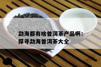 勐海都有啥普洱茶产品啊：探寻勐海普洱茶大全