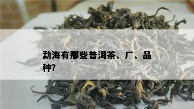 勐海有那些普洱茶、厂、品种？