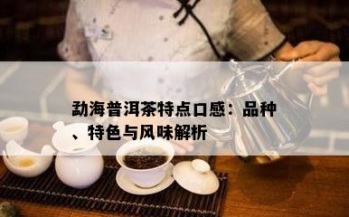 勐海普洱茶特点口感：品种、特色与风味解析