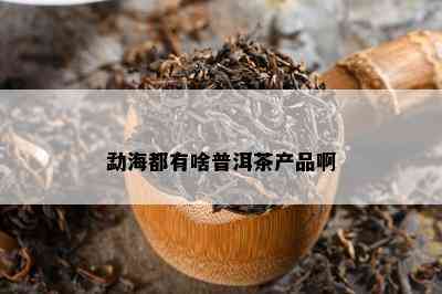 勐海都有啥普洱茶产品啊