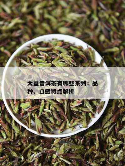 大益普洱茶有哪些系列：品种、口感特点解析