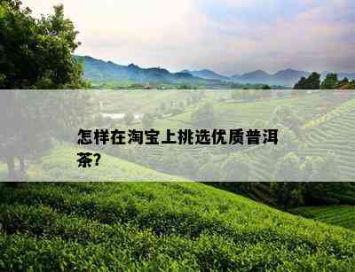 怎样在淘宝上挑选优质普洱茶？