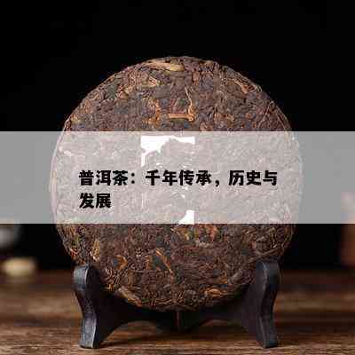 普洱茶：千年传承，历史与发展