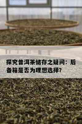 探究普洱茶储存之疑问：后备箱是否为理想选择？