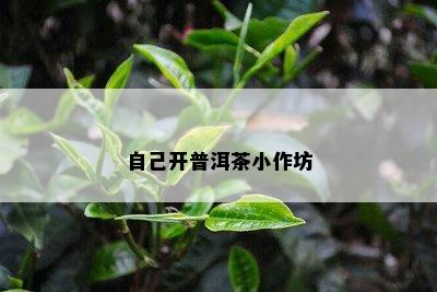 自己开普洱茶小作坊