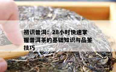 初识普洱：28小时快速掌握普洱茶的基础知识与品鉴技巧