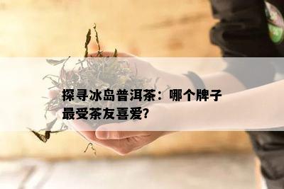 探寻冰岛普洱茶：哪个牌子最受茶友喜爱？