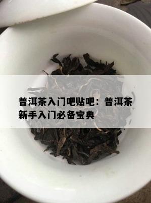 普洱茶入门吧贴吧：普洱茶新手入门必备宝典