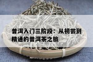 普洱入门三阶段：从初尝到精通的普洱茶之旅