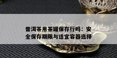 普洱茶用茶罐保存行吗：安全保存期限与适宜容器选择