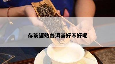 存茶罐熟普洱茶好不好呢