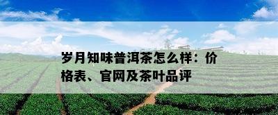 岁月知味普洱茶怎么样：价格表、官网及茶叶品评