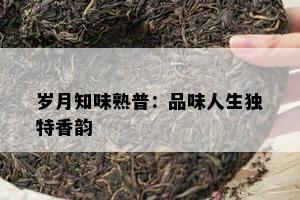 岁月知味熟普：品味人生独特香韵