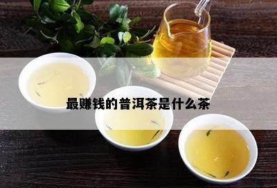 更赚钱的普洱茶是什么茶