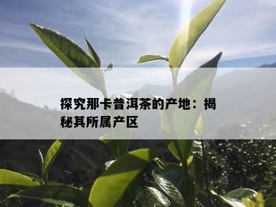 探究那卡普洱茶的产地：揭秘其所属产区