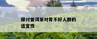 探讨普洱茶对胃不好人群的适宜性