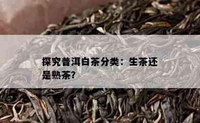 探究普洱白茶分类：生茶还是熟茶？