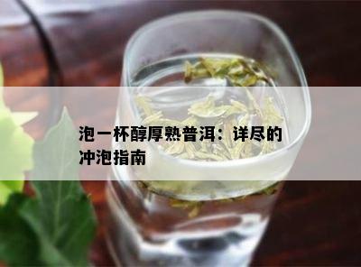 泡一杯醇厚熟普洱：详尽的冲泡指南