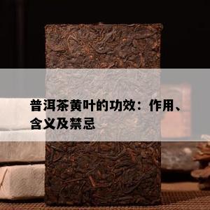 普洱茶黄叶的功效：作用、含义及禁忌