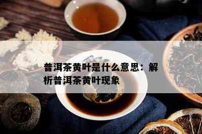 普洱茶黄叶是什么意思：解析普洱茶黄叶现象