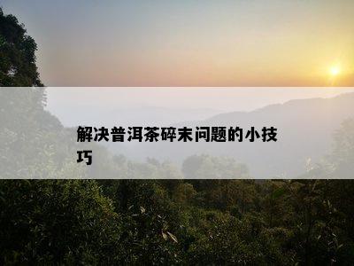 解决普洱茶碎末问题的小技巧