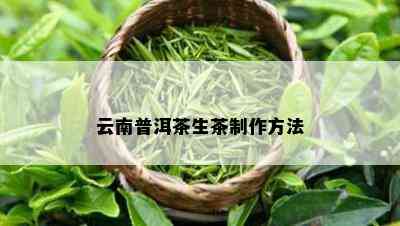 云南普洱茶生茶制作方法