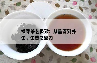 探寻茶艺极致：从品茗到养生，生普之魅力