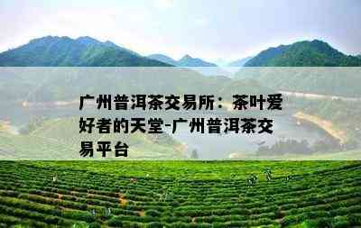 广州普洱茶交易所：茶叶爱好者的天堂-广州普洱茶交易平台