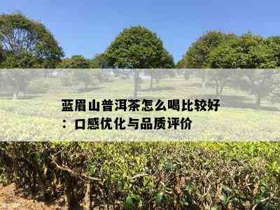 蓝眉山普洱茶怎么喝比较好：口感优化与品质评价