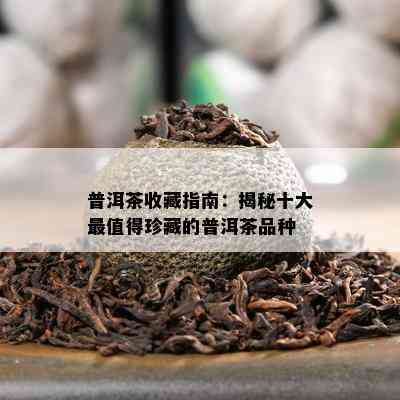 普洱茶收藏指南：揭秘十大最值得珍藏的普洱茶品种